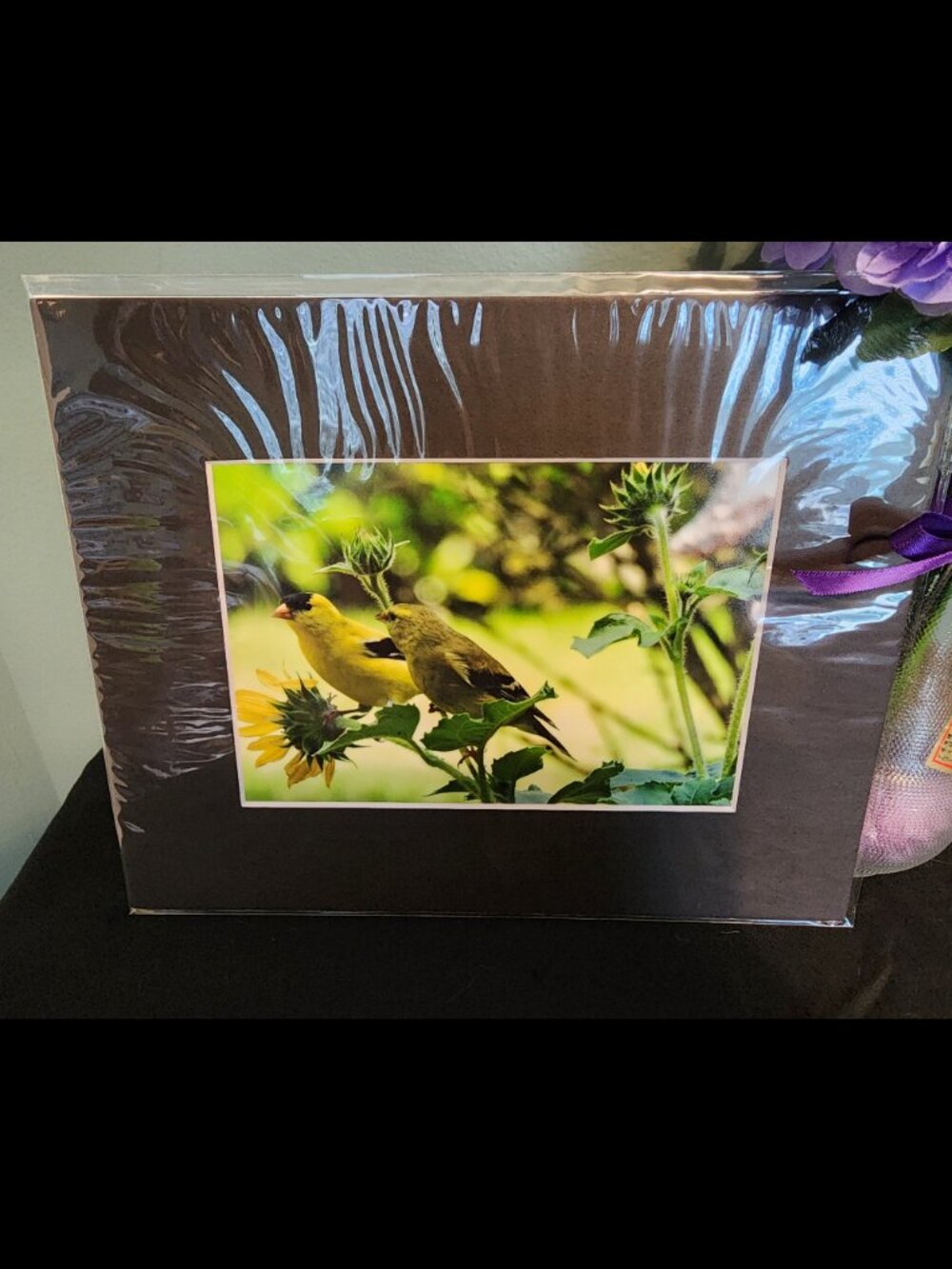 2/$13 American Goldfinch Couple Photography Print with Black Matte Frame
